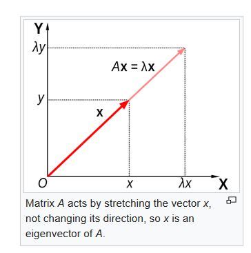 Normalized Eigenvector 的图像结果