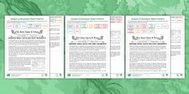 Features of a Newspaper Activity Pack - Newspaper Report