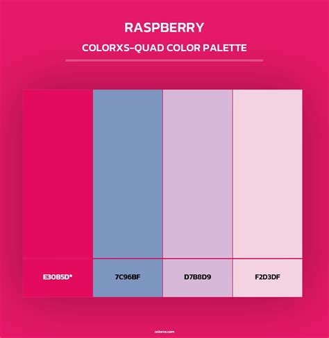 Image result for Raspberry Color Palette