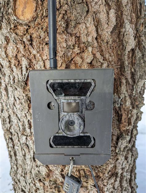 Trail Camera to Computer 的图像结果