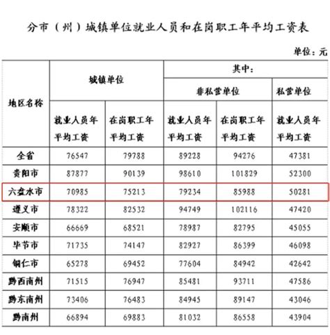 围观丨贵州省2020年平均工资数据出炉！六盘水这个数↘你达到了么？|贵州省|六盘水市|就业_新浪新闻