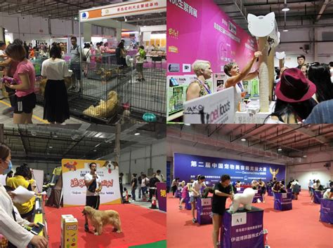 第八届中国(深圳)国际宠物用品展览会圆满闭幕！_资讯_维宠宠物导航网
