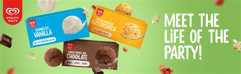 Kwality Wall's Party Pack, Vanilla, 700ml : Amazon.in: Grocery ...