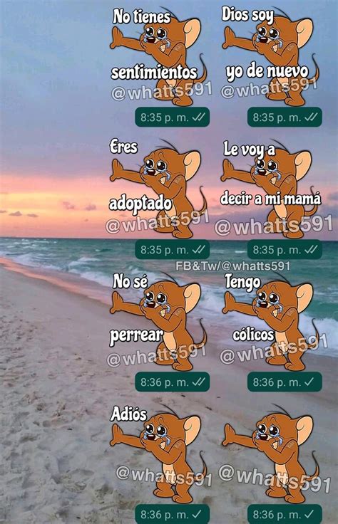 Memes Lloron Crying Cat Meme