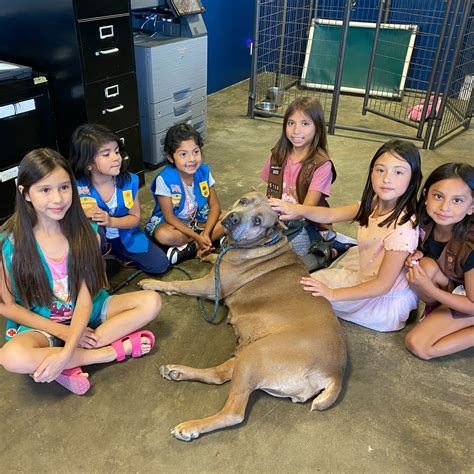 Santa Paula Animal Rescue Center | 🐾👧🏽 A Heartwarming Day at SPARC! 👧🏽🐾 ...