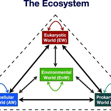 Ecosystem Graph 的图像结果