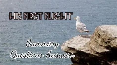 Image result for His First Flight Question Answers PDF
