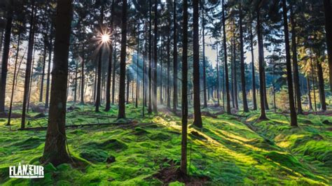 Image result for Find Own Path