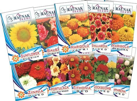 Seedscare Garden Care Flowers Seeds For Summer Season (Pack Of 10 ...