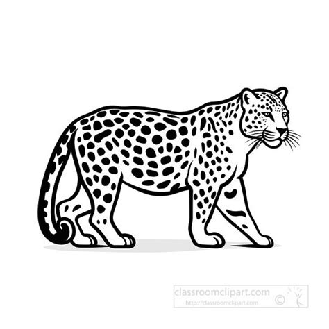 Image result for Prime in Java