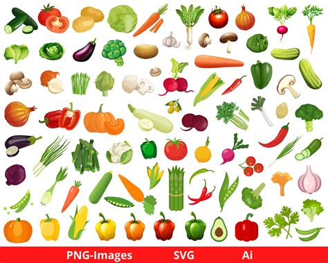 Vegetables Clipart Veggie Clipart Vegetable Clipart Food - Etsy