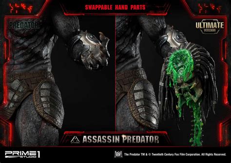 Image result for Assassin Predator