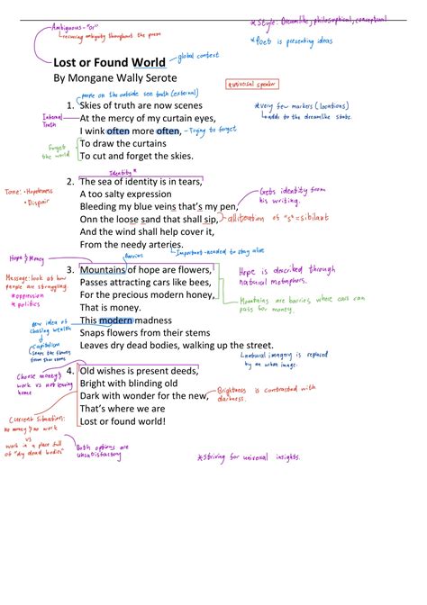 Lost or Found World (Serote) - IEB English - Stuvia SA