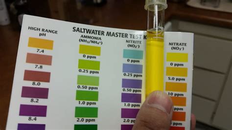 Image result for API Test Kit Color Swatches