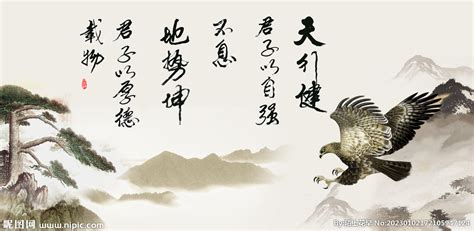 《典籍里的中国》之《周易》：探寻“天行健，君子以自强不息”的天地大道