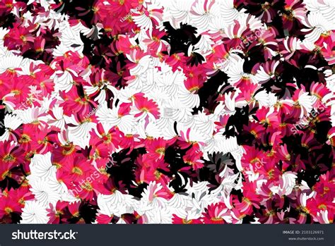 Image result for High Resolution Patterns