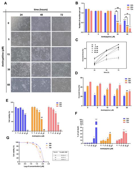 The Antidepressant Drug Amitriptyline Affects Human SH-SY5Y ...