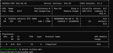 Install Cuda On WSL2 的图像结果