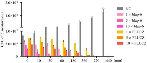 Blap-6, a Novel Antifungal Peptide from the Chinese Medicinal Beetle ...