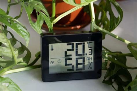 Image result for Humidity in Plants