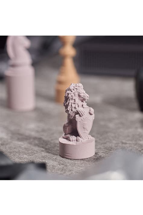 Snapmaker A250 的图像结果