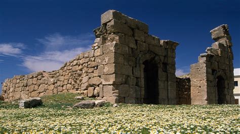 Biblical Land of Refuge | Holy Jordan