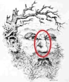 Optical Illusion: A girl is hidden in the picture. How quickly can you ...