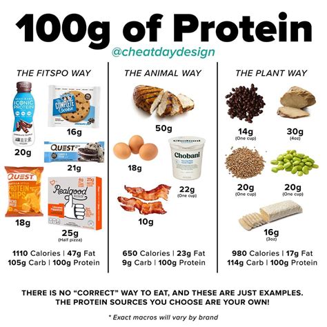 What Does 100g Of Protein Look Like? [A Visual Guide] | Protein nutrition, Healthy high protein ...