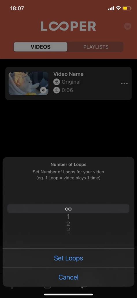 Image result for Video Loop Software