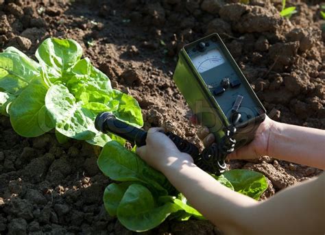 Measuring radiation levels of vegetables | Stock Photo | Colourbox