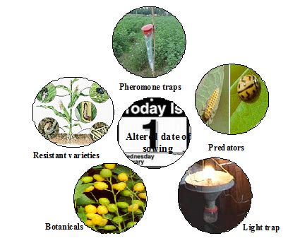 ORGANIC FARMING :: Pest Management of Horticultural Crops