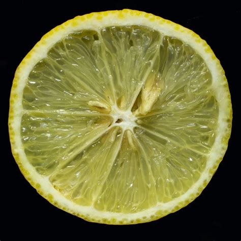 Image result for Lemon Slice Texture