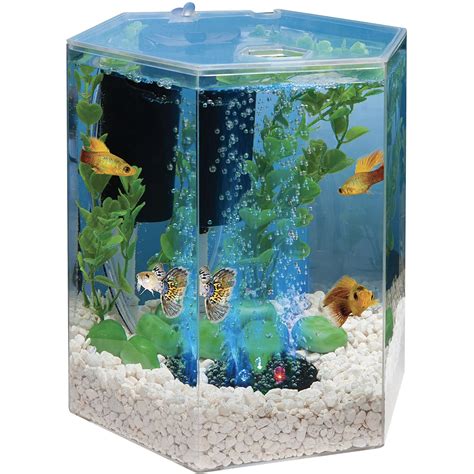 Tetra 1 Gallon Hexagon LED Aquarium Kit with Air Filter & Bubbler ...