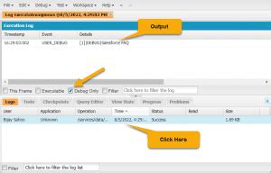 Image result for Salesforce Developer Console