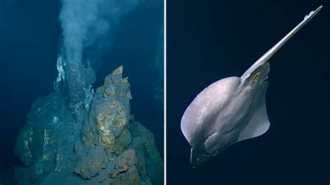 Image result for Underwater Volcano Exploding