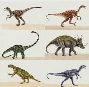 恐龙种类图片大全图片
