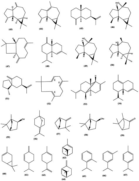 Phytochemistry, Bioactivity, and Ethnopharmacology of the Genus ...