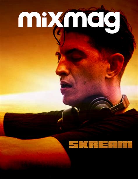 Skream 的图像结果