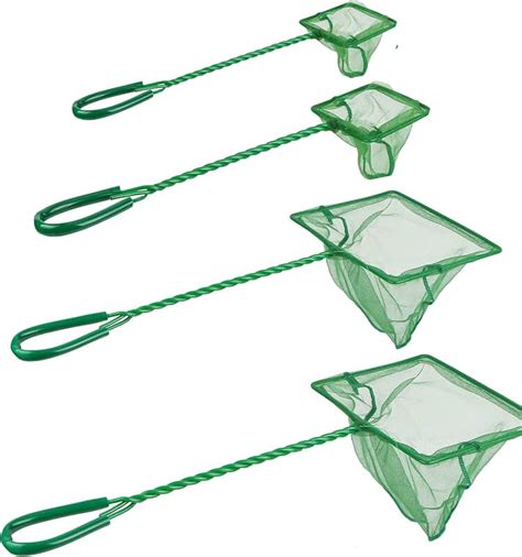 Image result for Netting Fast Fish Between Tanks