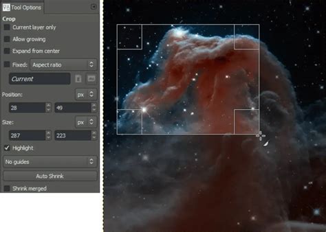 The Top 13 Paid & Free Alternatives to Adobe Illustrator of 2024 - Blog