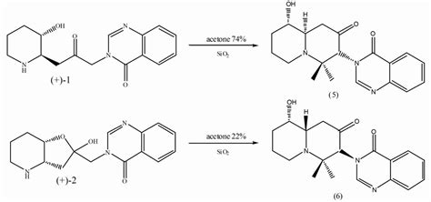 Febrifugine analogues: Promising antimalarial agents