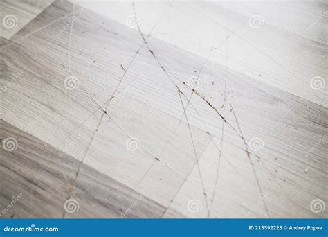 Laminate Floor Surface Scratch Stock Photo - Image of laminate, torn ...