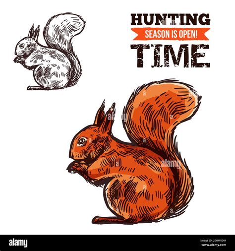 Squirrel hunt club hi-res stock photography and images - Alamy