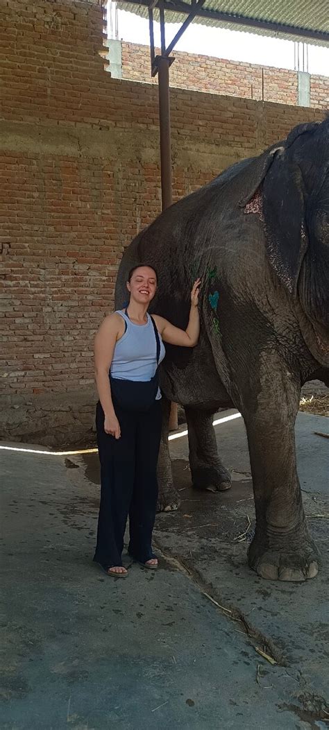 Lalsot Tourism (2024): All You Need to Know Before You Go