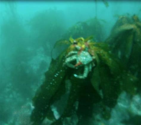 Silver Prince Charters (Monterey) - 2022 What to Know Before You Go ...