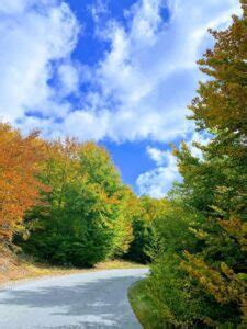 Vučje.me | Turistički centar