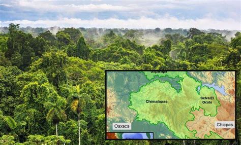 Image result for Game User Interface for Pyautogui Program
