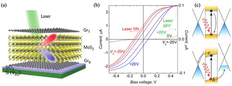 Optoelectronic Devices Based on Atomically Thin Transition Metal ...