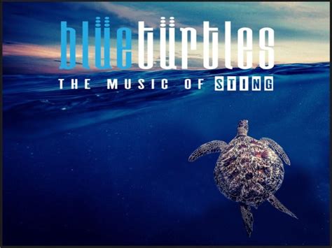 BLUE TURTLES - The Music of STING - January 2024, 1 Annie Street ...
