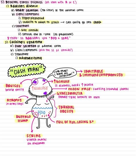 Mark Klimek Lecture Notes 46 Pages | Etsy